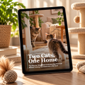 Two Cats, One Home: The Step-by-Step Guide to Introducing a New Cat Without Turning Your Home Into a War Zone